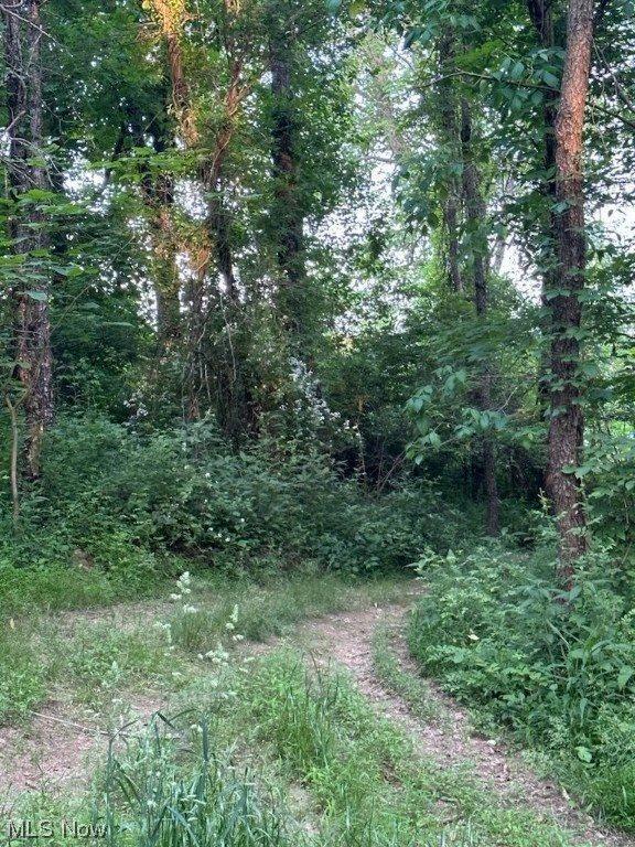 Sarchets Run Road, Cambridge, OH 43725