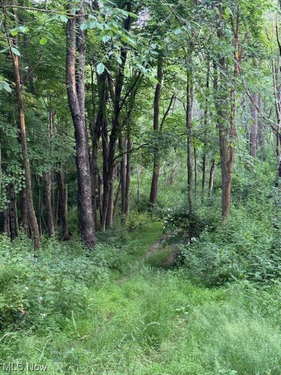 Sarchets Run Road, Cambridge, OH 43725