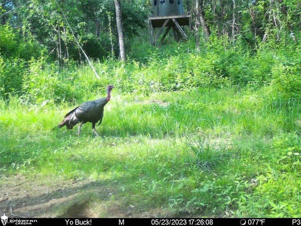 Sarchets Run Road, Cambridge, OH 43725