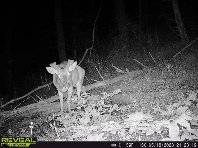 Sarchets Run Road, Cambridge, OH 43725