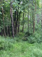 Sarchets Run Road, Cambridge, OH 43725