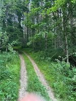 Sarchets Run Road, Cambridge, OH 43725