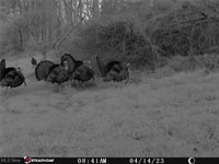 Sarchets Run Road, Cambridge, OH 43725