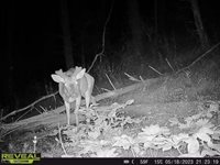 Sarchets Run Road, Cambridge, OH 43725