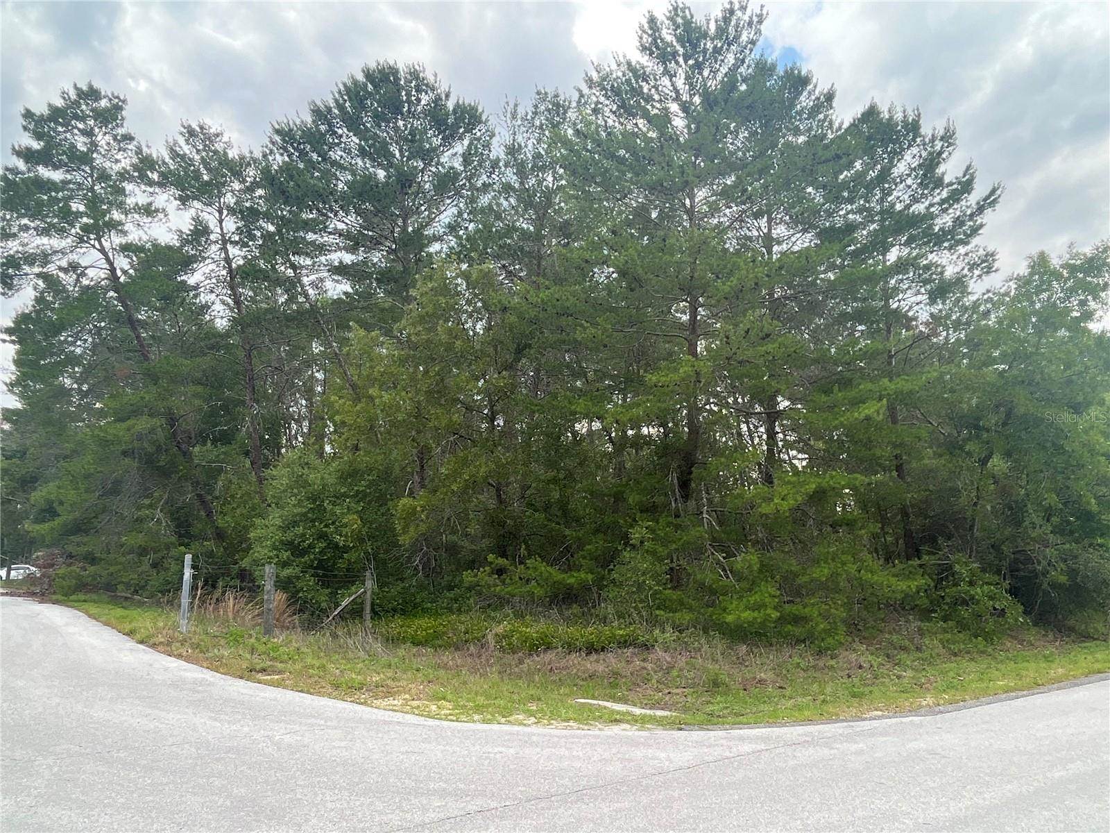 00 SW 96TH Place, Ocala, FL 34476