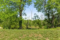 704 Buckeye Lane, Pleasant Hill, MO 64080