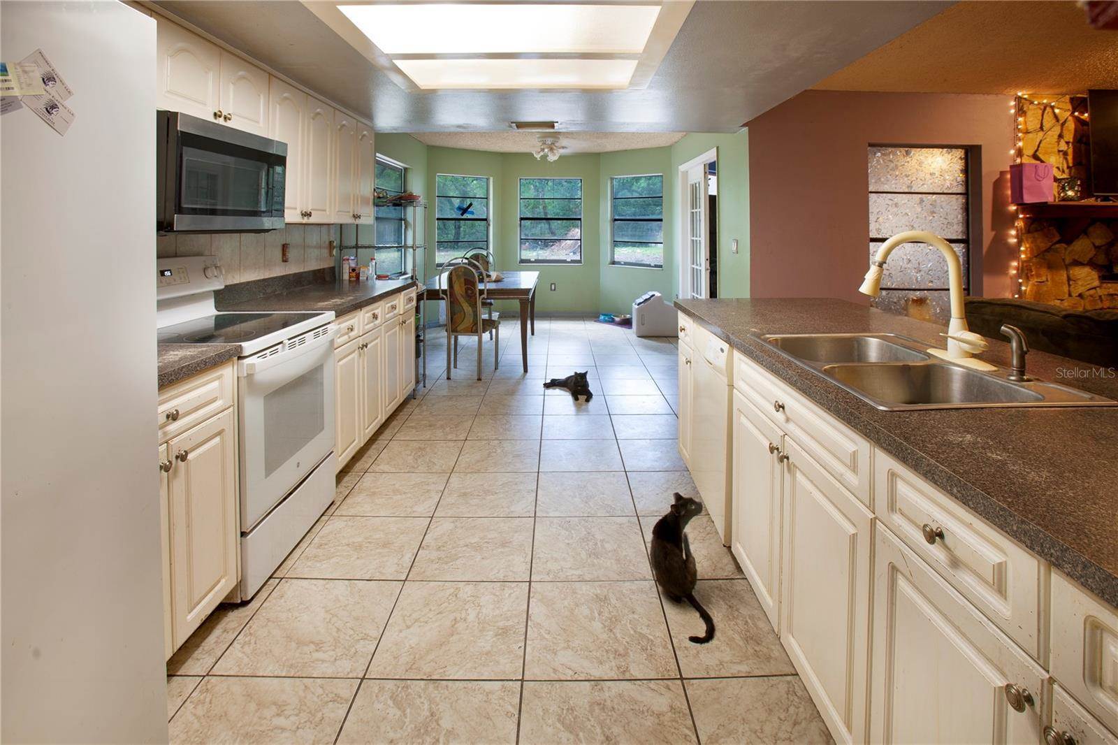 13033 Barney Drive, Hudson, FL 34669