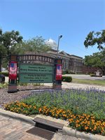 421 Courtlea Oaks Boulevard, Winter Garden, FL 34787