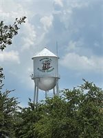 421 Courtlea Oaks Boulevard, Winter Garden, FL 34787