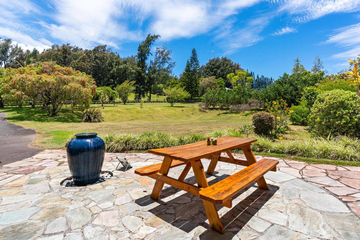 55-3285 Puu Mamo Dr, Hawi, HI 96719