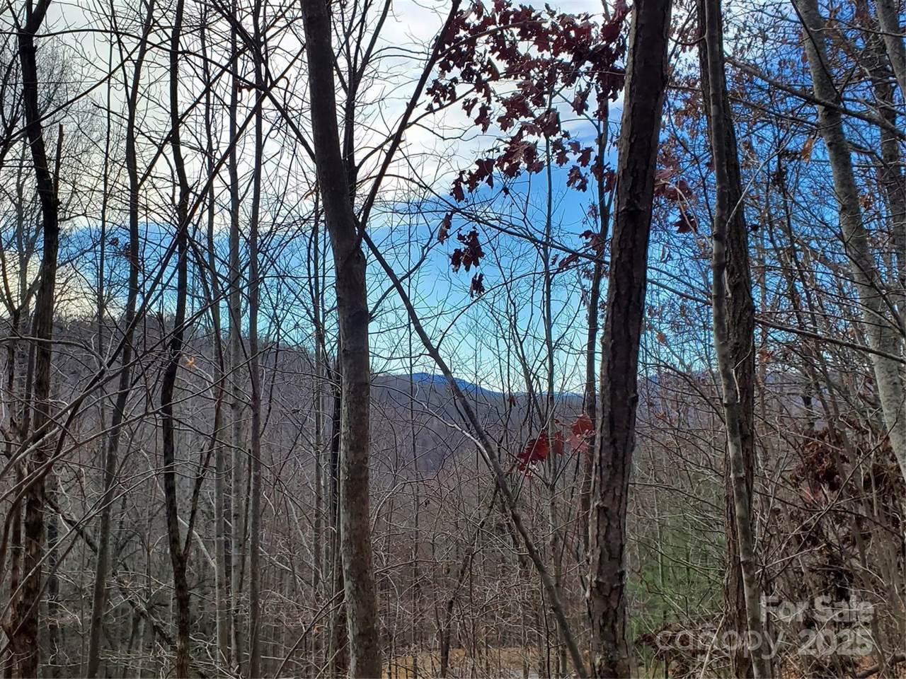 100 Ivywood Lane, Laurel Park, NC 28739