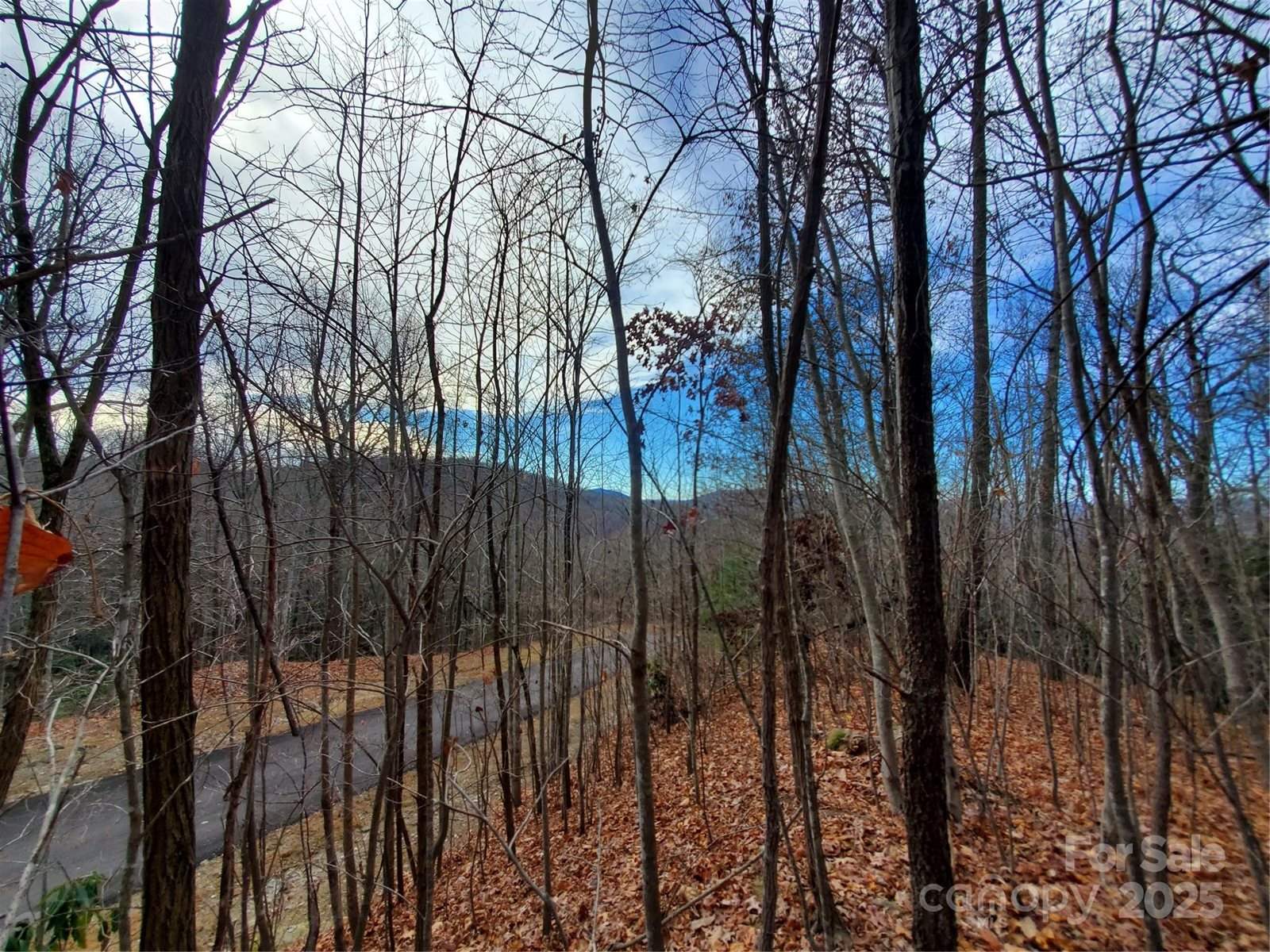 100 Ivywood Lane, Laurel Park, NC 28739