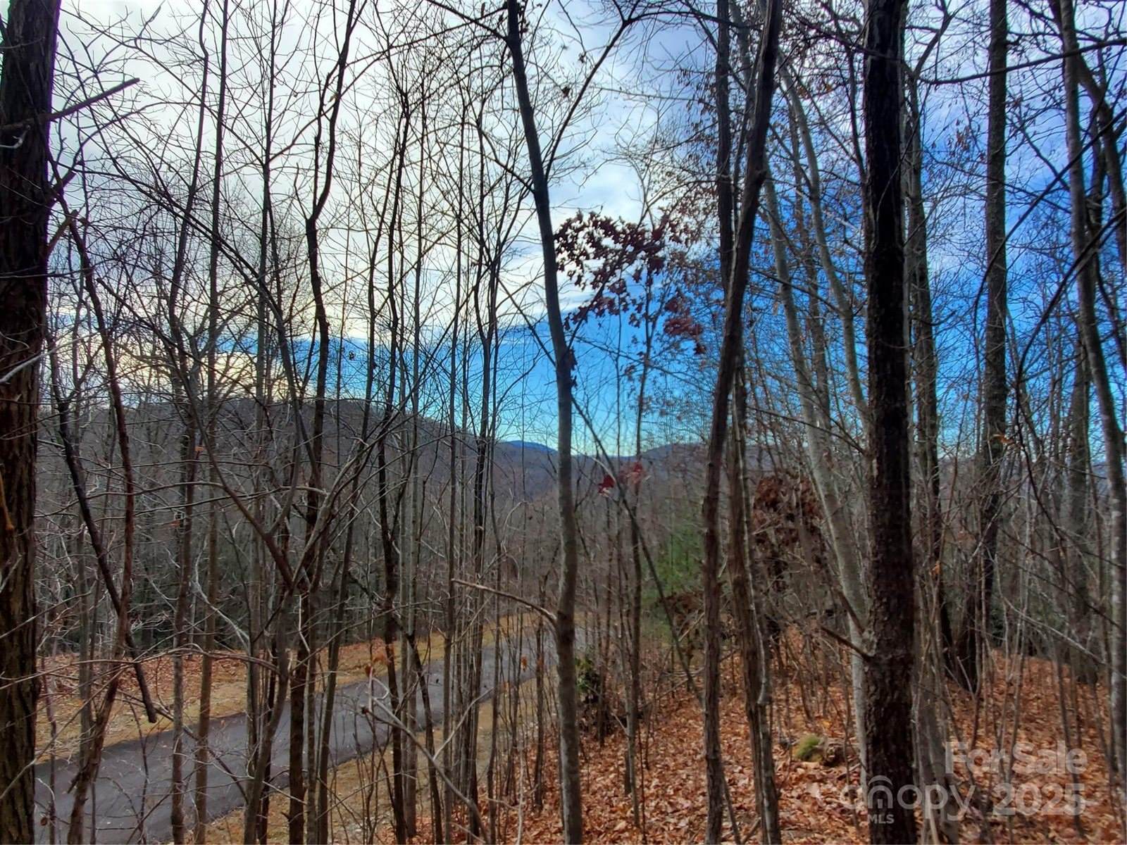 100 Ivywood Lane, Laurel Park, NC 28739