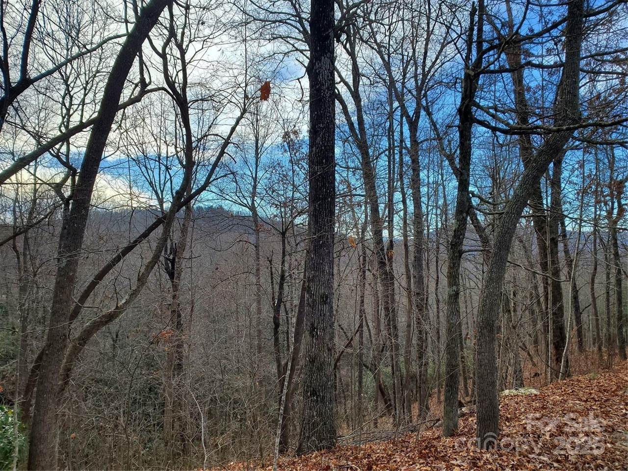 100 Ivywood Lane, Laurel Park, NC 28739