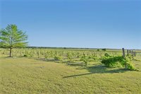 300 CR 433, Lorena, TX 76655