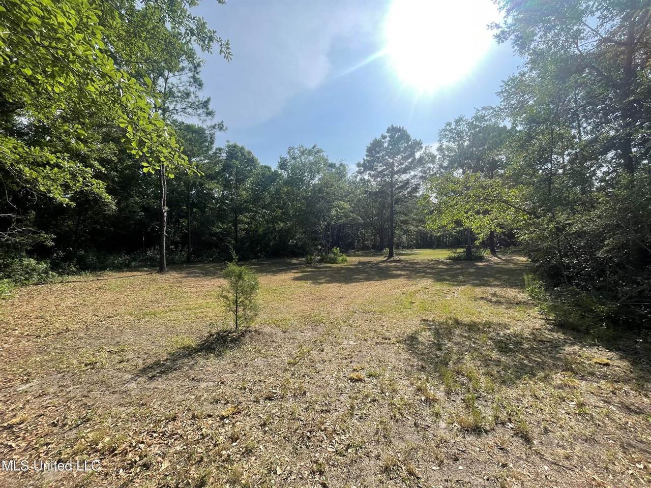 Deborah Street, Ocean Springs, MS 39564