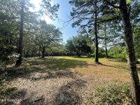 Deborah Street, Ocean Springs, MS 39564