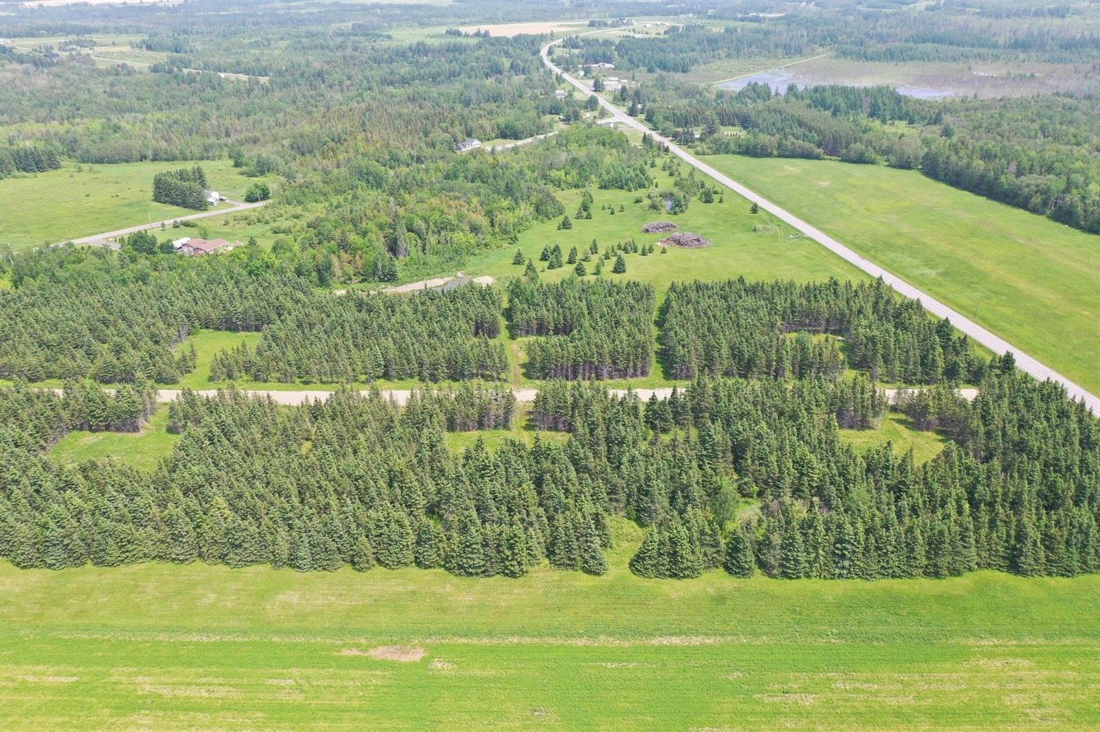 Map9 Lot3F Washburn Road, Washburn, ME 04786