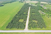 Map9 Lot3F Washburn Road, Washburn, ME 04786