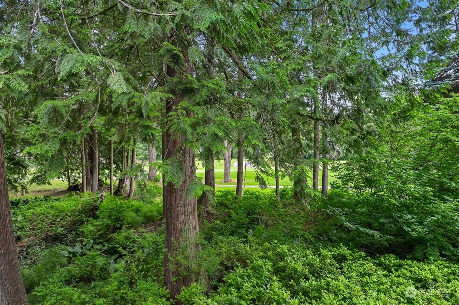 2 Marigold, Bellingham, WA 98229