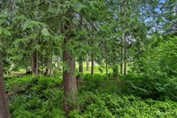 2 Marigold, Bellingham, WA 98229