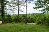 2154 Temperance Hall Rd, Liberty, TN 37095