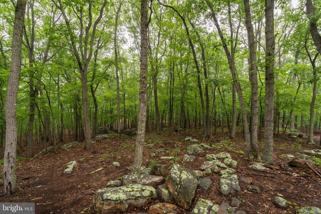 47 Haines Drive, Capon Bridge, WV 26711