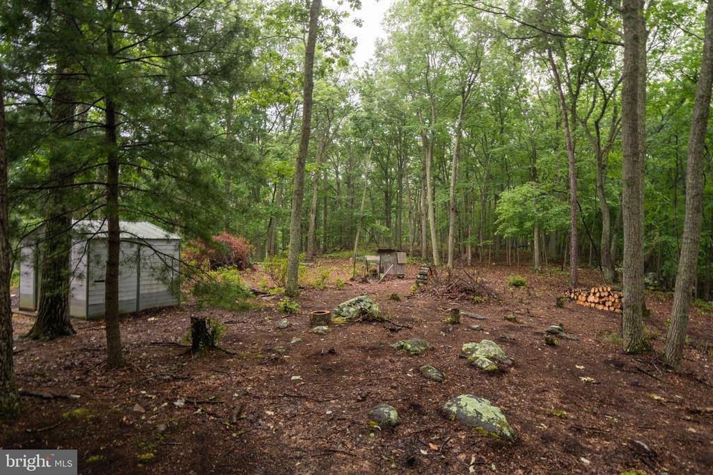 47 Haines Drive, Capon Bridge, WV 26711