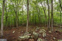 47 Haines Drive, Capon Bridge, WV 26711