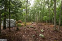 47 Haines Drive, Capon Bridge, WV 26711