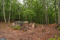 47 Haines Drive, Capon Bridge, WV 26711