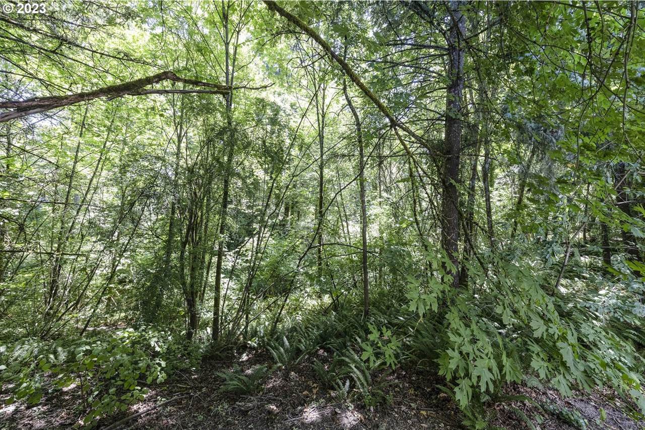 810 East 9TH St #D15, Newberg, OR 97132