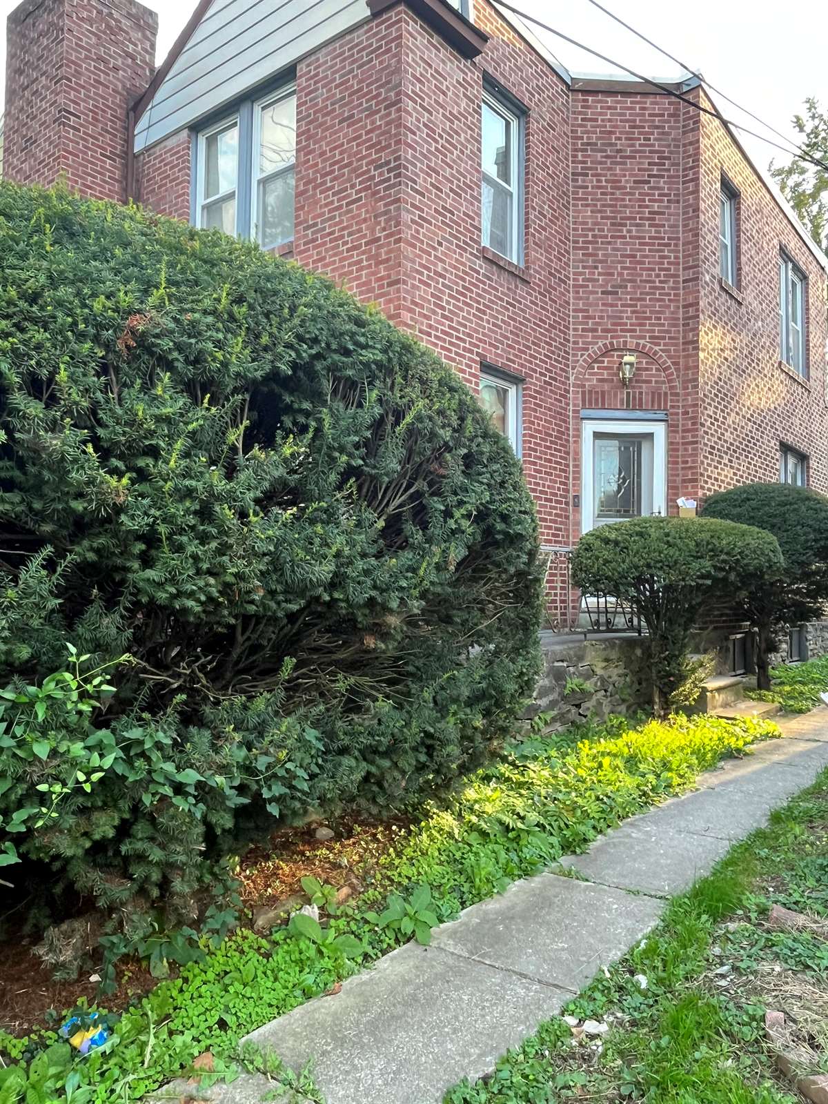 210 n Lynn blvd, Upper Darby, PA 19082