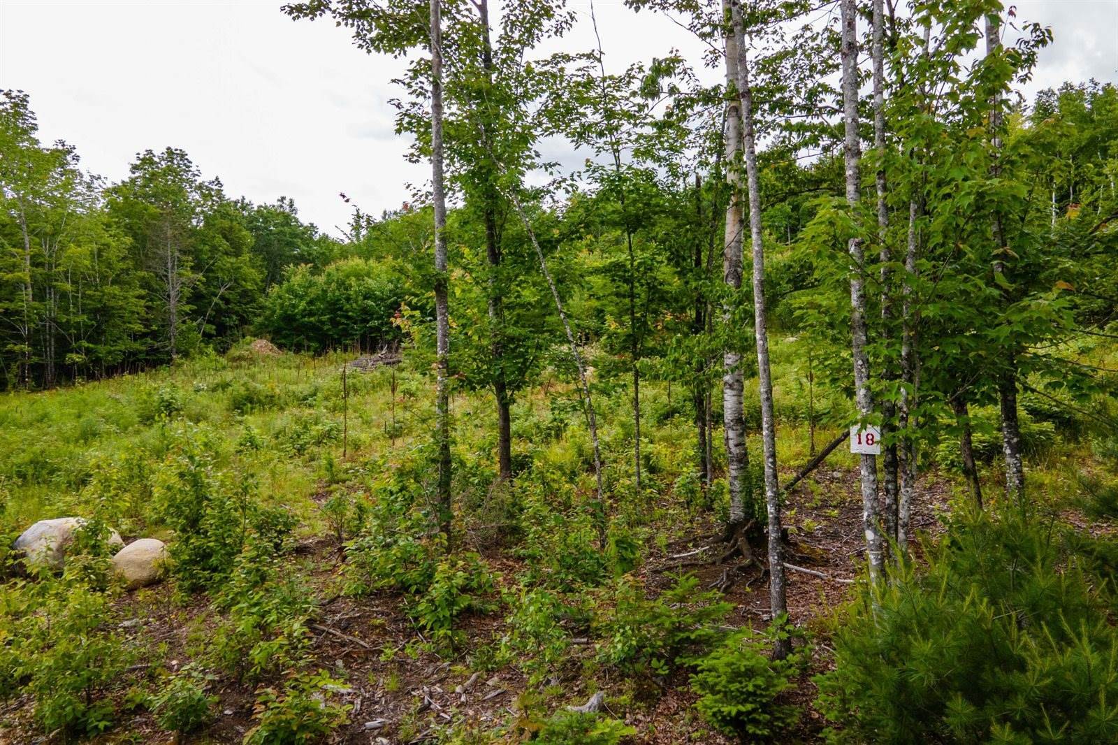 37 Beaver Creek Road, Carmel, ME 04419