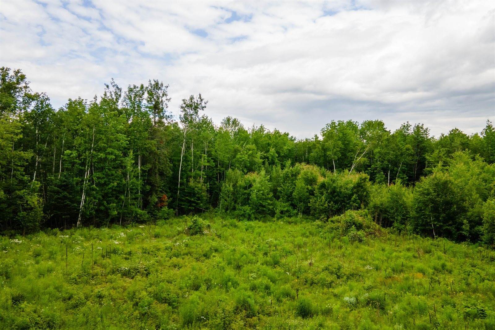 37 Beaver Creek Road, Carmel, ME 04419