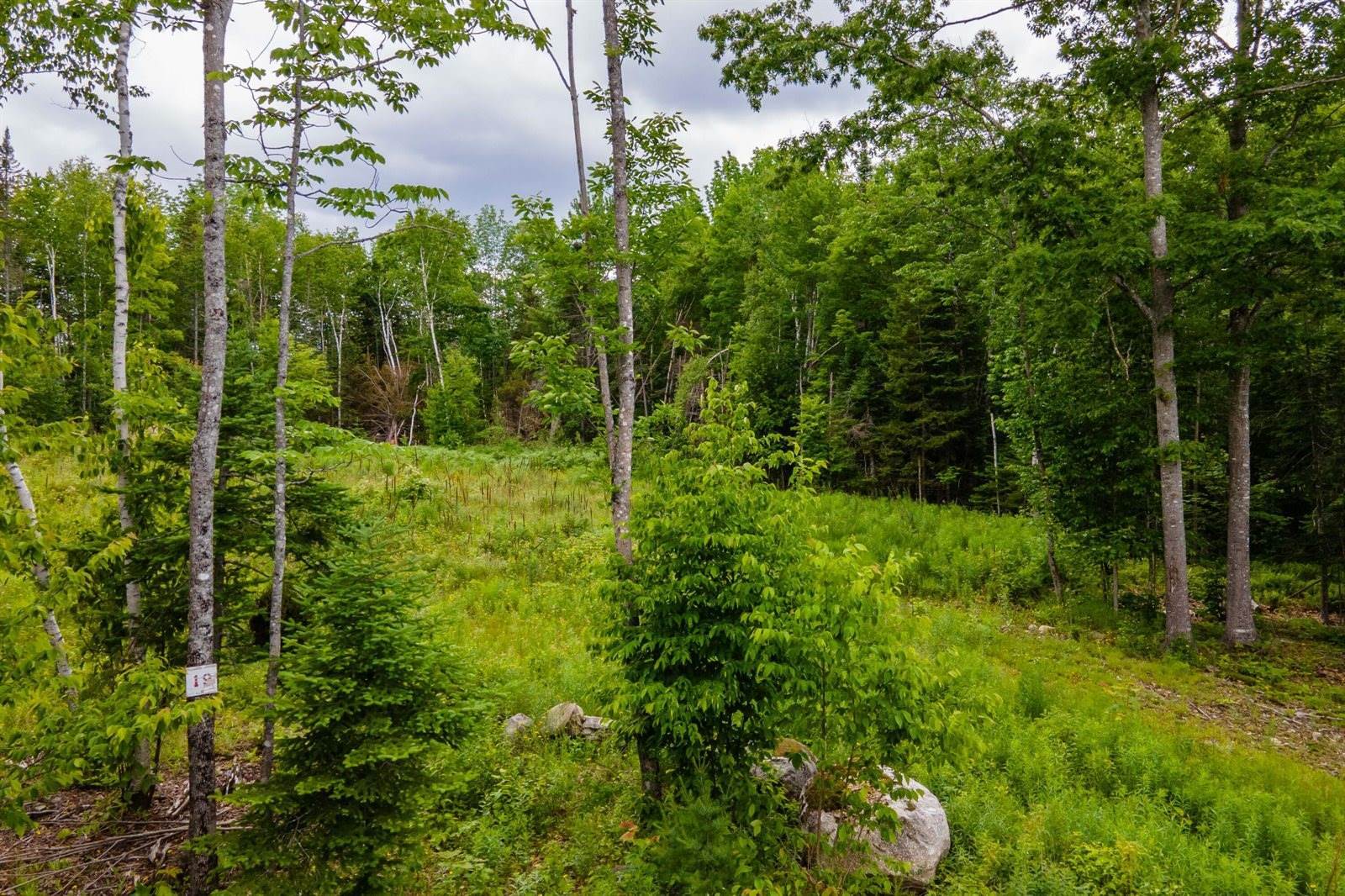 37 Beaver Creek Road, Carmel, ME 04419