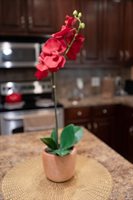 536, Seale, AL 36875