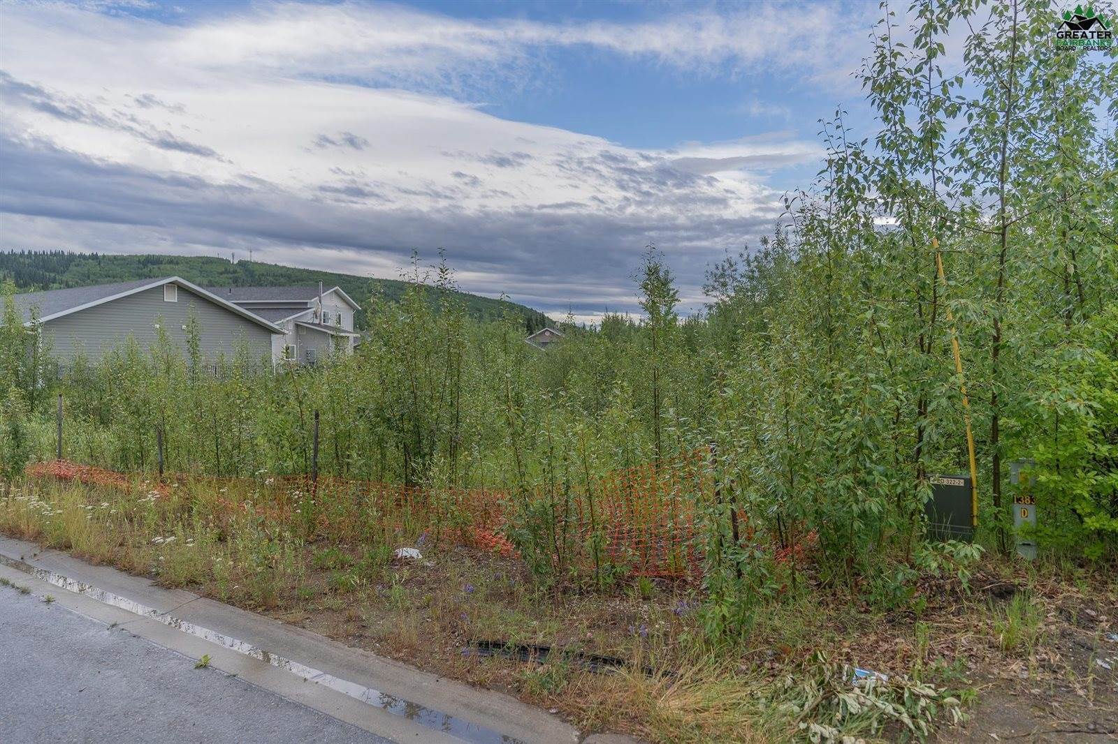 Nhn D Street, Fairbanks, AK 99701