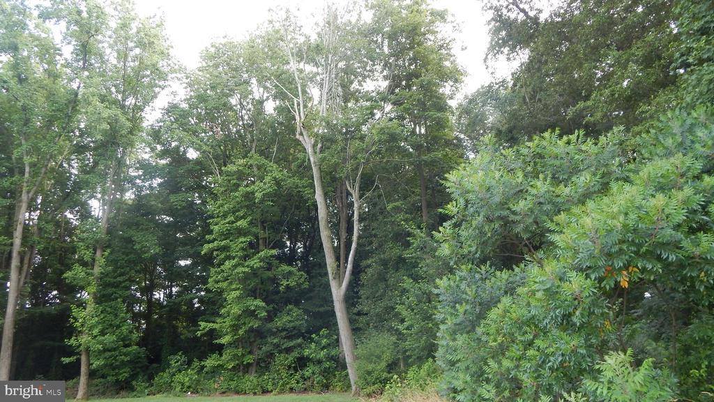 Lot 6 Rust Road, Milford, DE 19963