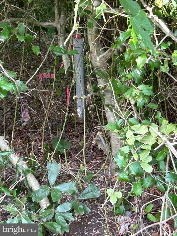 Lot 6 Rust Road, Milford, DE 19963