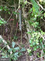 Lot 6 Rust Road, Milford, DE 19963