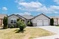 3711 Lone Tree Lane, Montrose, CO 81403