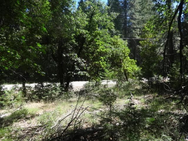 13802 Red Dog Road, Nevada City, CA 95959