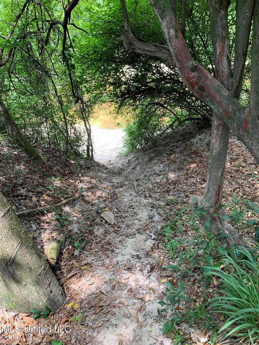 Riverline Road, Saucier, MS 39574