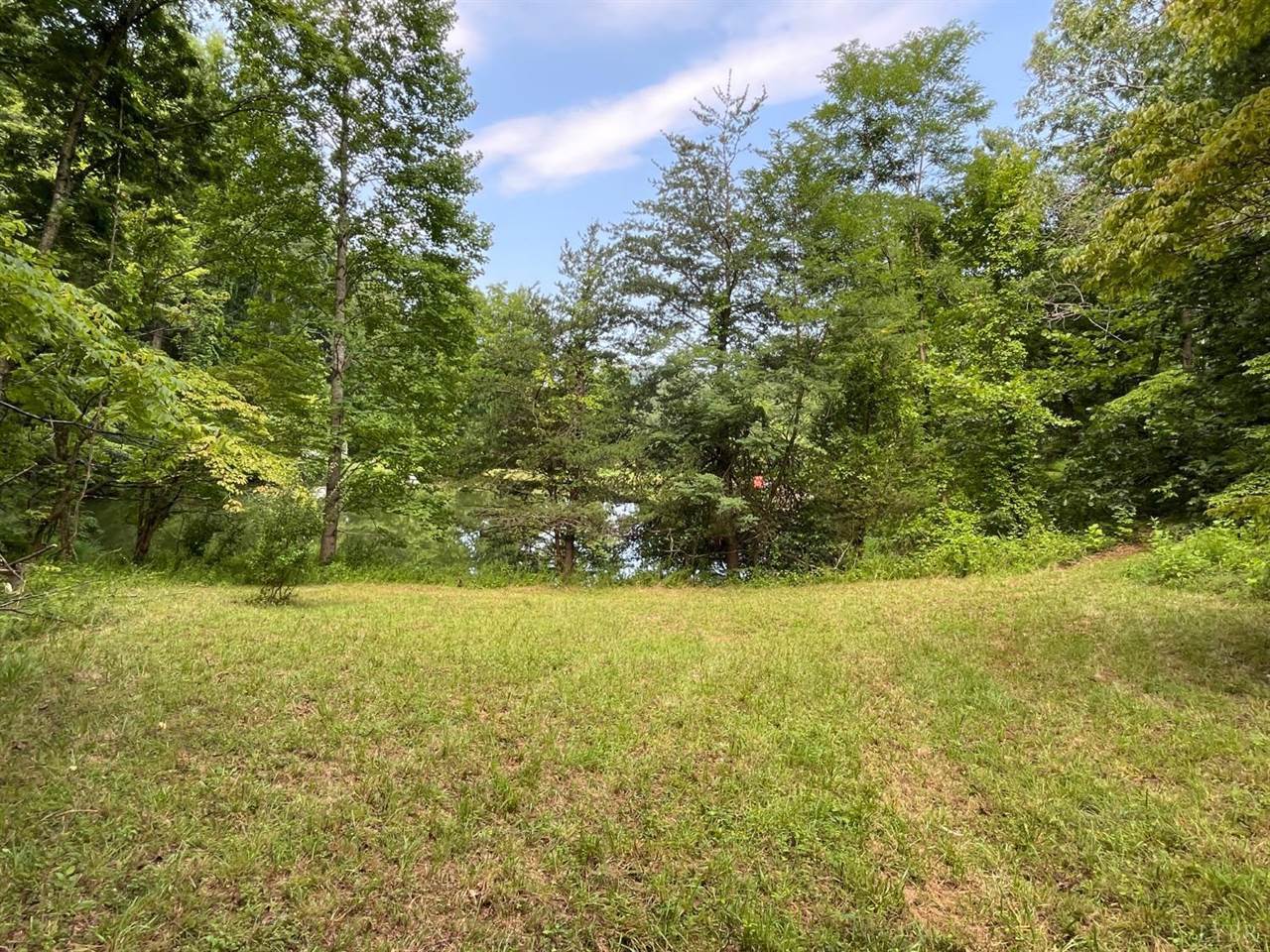 704 Peters Hollow Road, Monroe, VA 24574