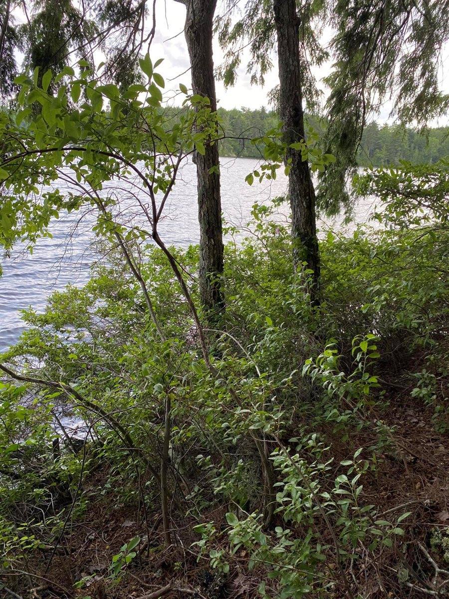 Lot 23 Sysladobsis Lake, Lakeville, ME 04487