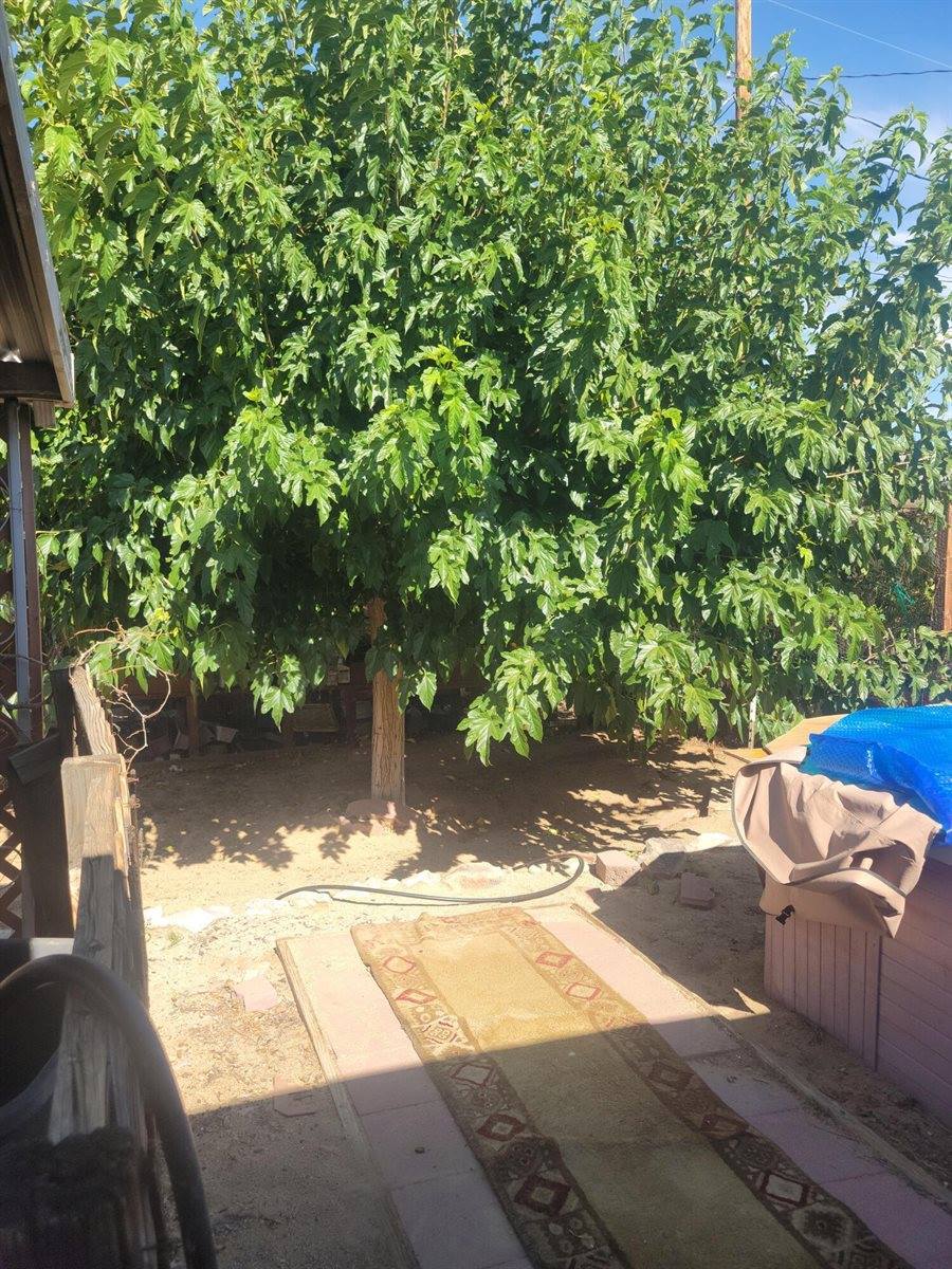 6637 Galleta Avenue, 29 Palms, CA 92277