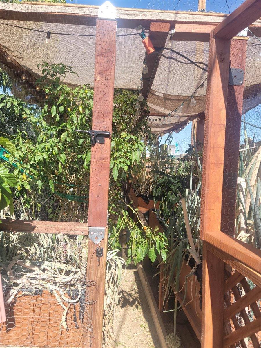 6637 Galleta Avenue, 29 Palms, CA 92277