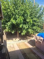 6637 Galleta Avenue, 29 Palms, CA 92277