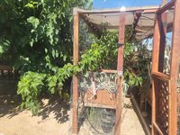 6637 Galleta Avenue, 29 Palms, CA 92277